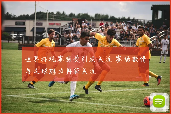 世界杯观赛感受引发关注 赛场激情与足球魅力再获关注