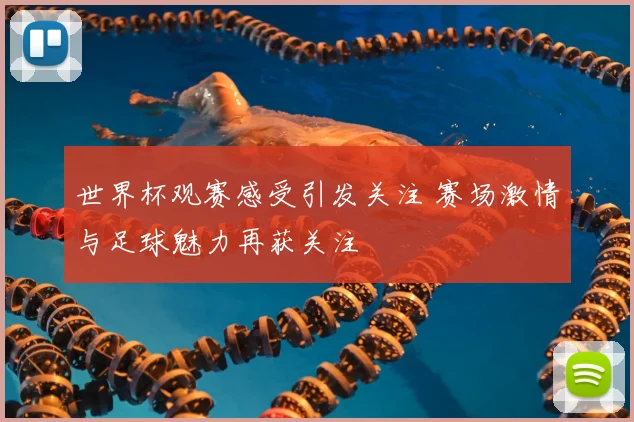 世界杯观赛感受引发关注 赛场激情与足球魅力再获关注