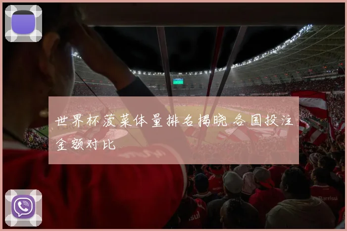 世界杯菠菜体量排名揭晓 各国投注金额对比
