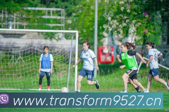 开云网页版·官方版在线登入 - 开云(中国)平台生态图