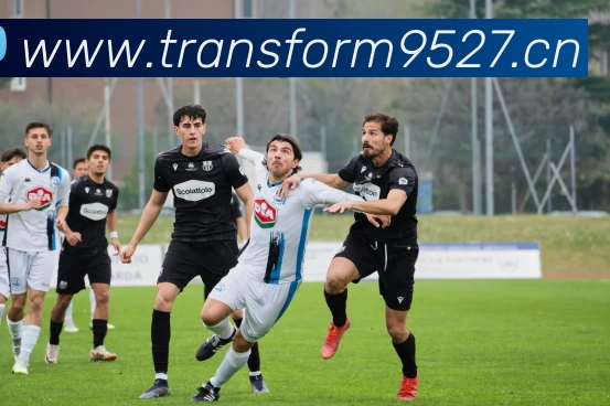 开云网页版·官方版在线登入 - 开云(中国)APP 封面图